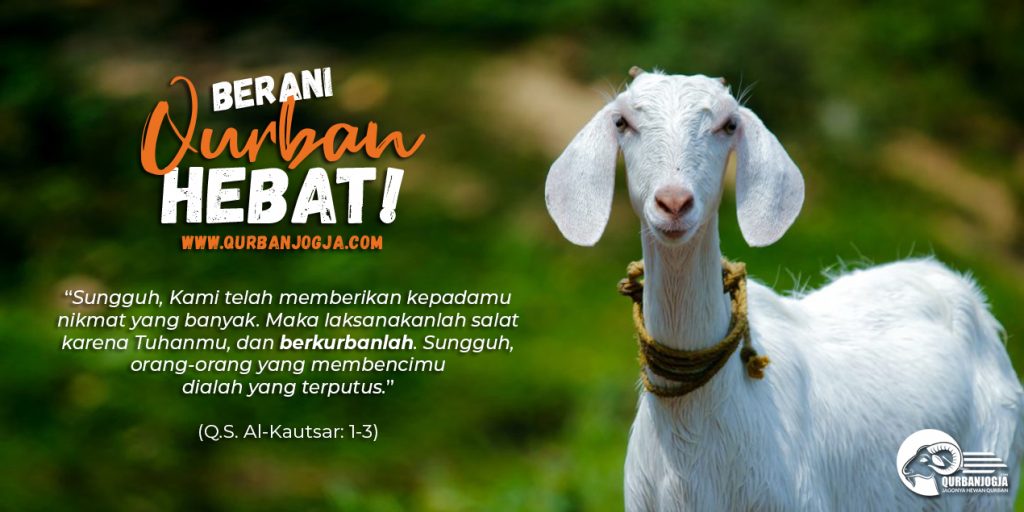 qurban-jogja-tercepat
